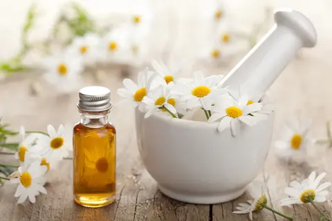 Chamomile extract powder for sleep