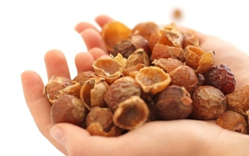 Soapnut extract uses