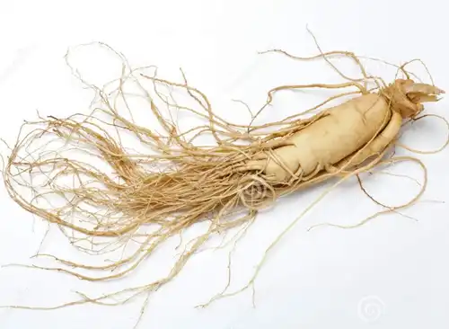 Ginseng extract powder Ginseng extract powder