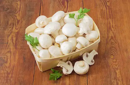 Organic Agaricus Bisporus powder