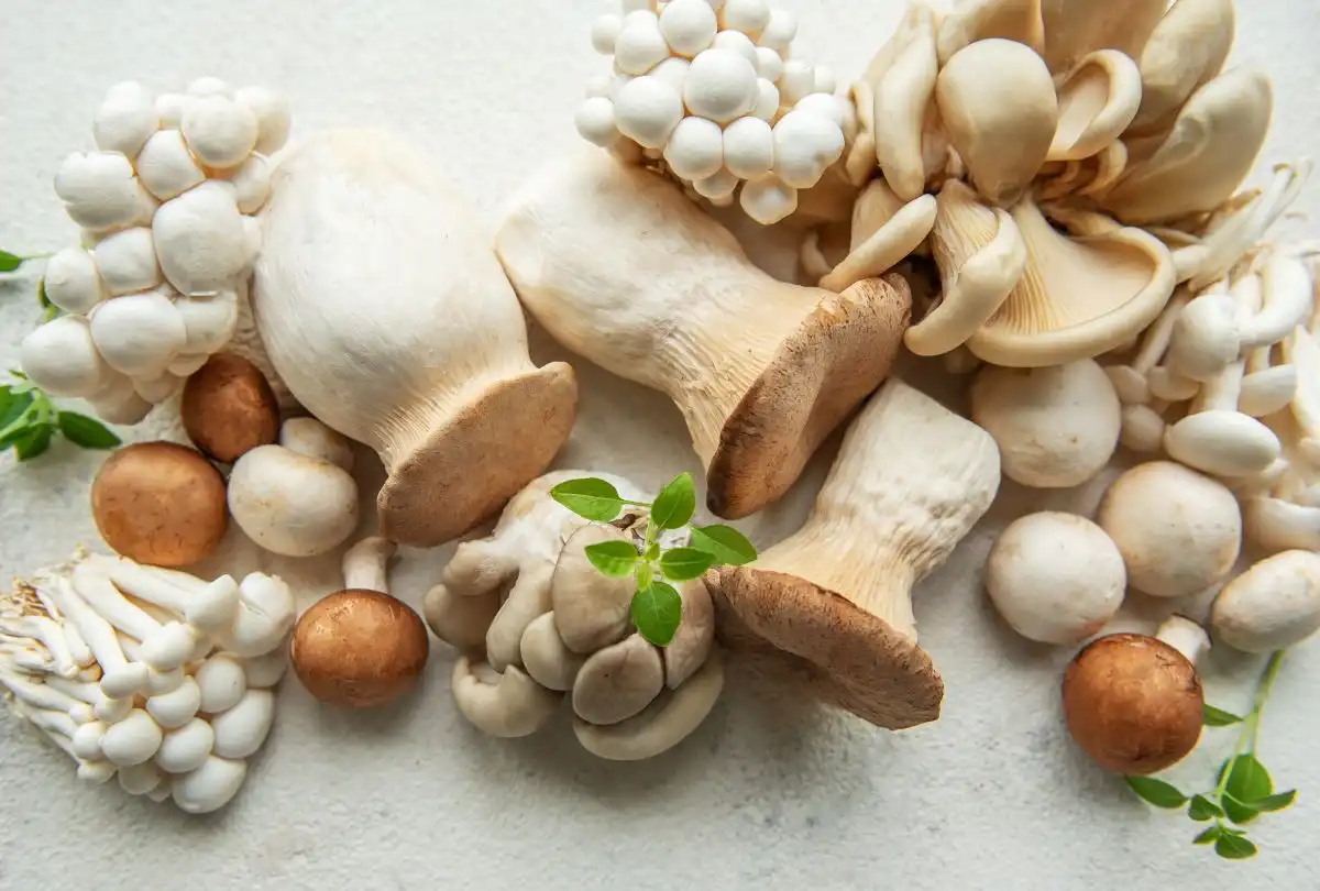 mushrooms
