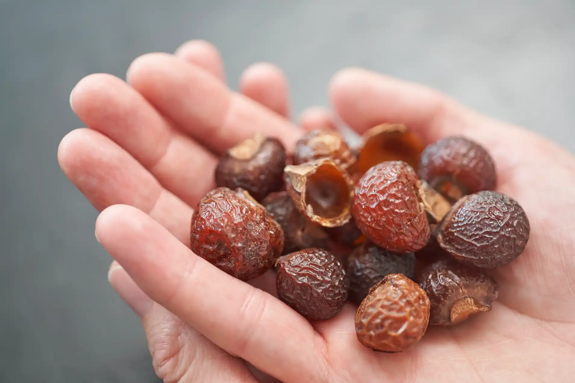 soapnut extract