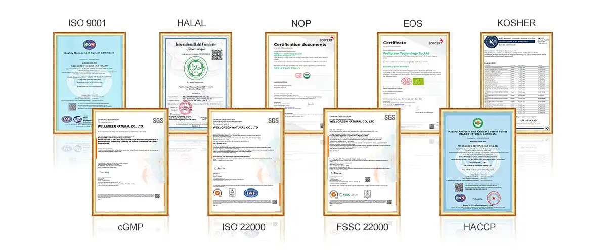 blog-1200-500 blog-1200-500