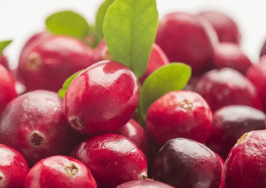 Cranberry extract Cranberry extract