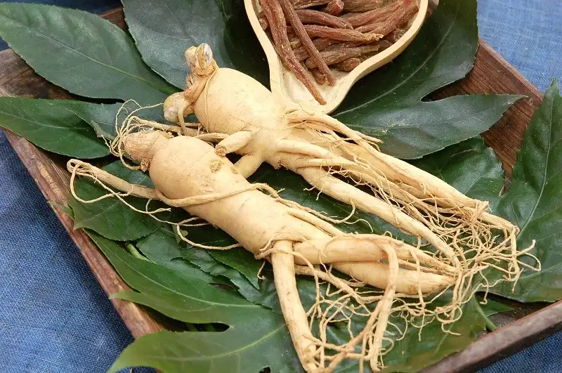 ginseng-extract-powder