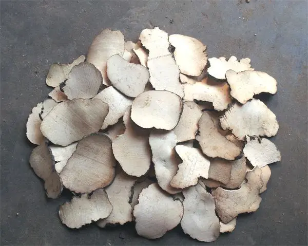 Organic polyporus powder Organic polyporus powder