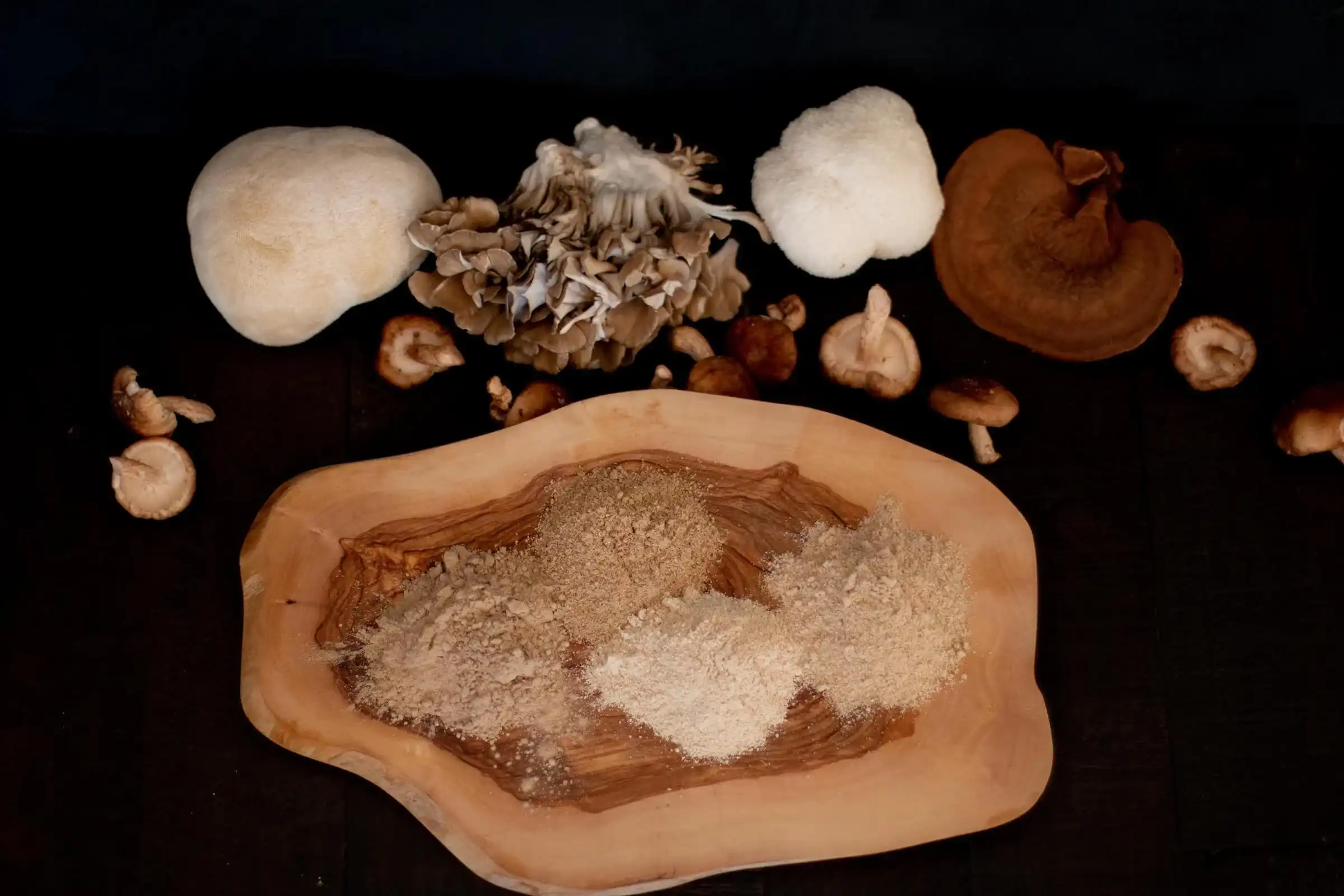 Mushroom Powder Mushroom Powder