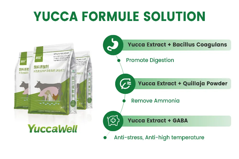 VIV Nanjing VIV Nanjing