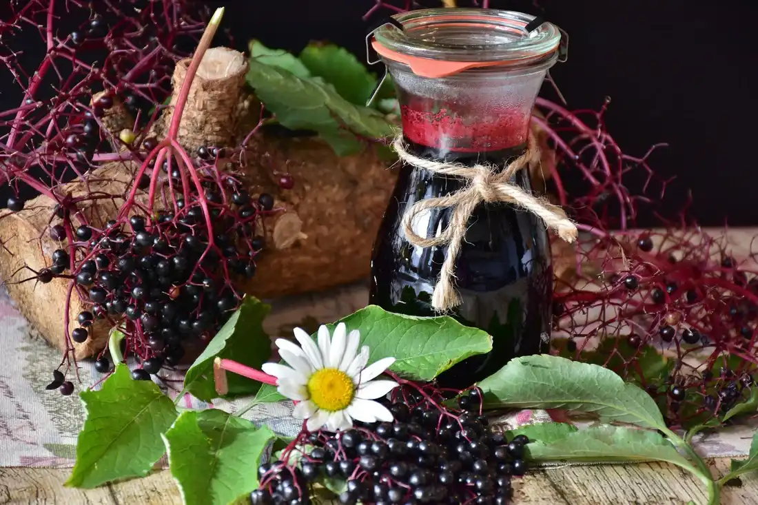 Elderberry extract Elderberry extract