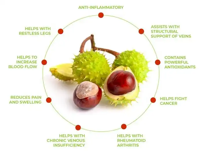 Horse chestnut extract powder