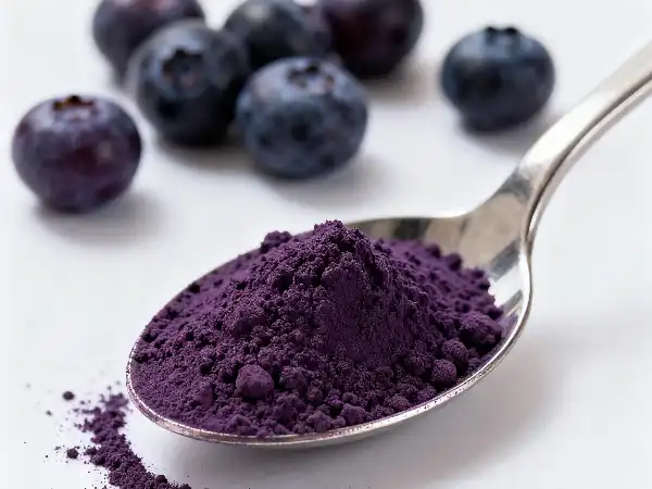 bilberry fruit extract powder