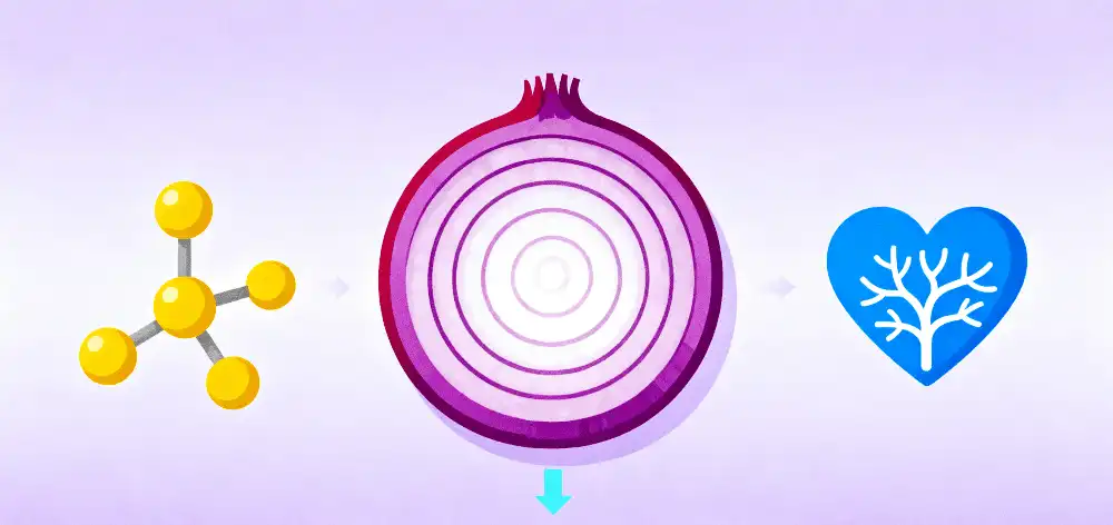 flavonoids benefits flavonoids benefits