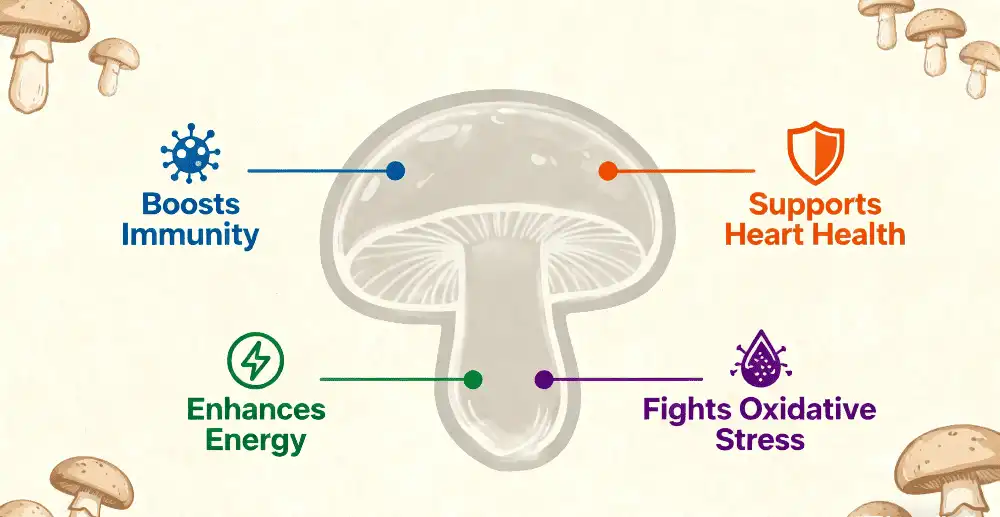 Shiitake mushroom extract benefits