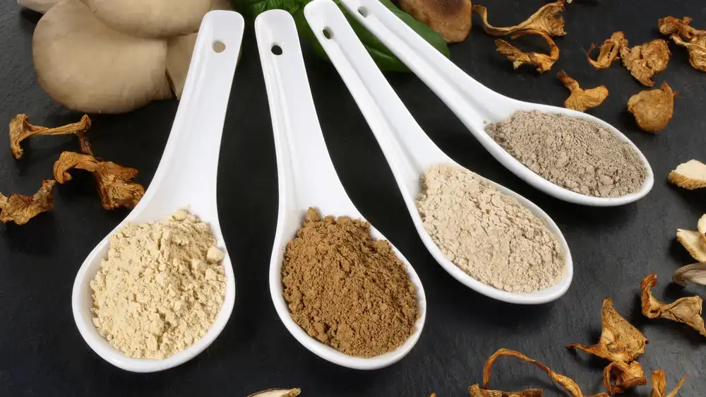 Maitake mushroom extract powder