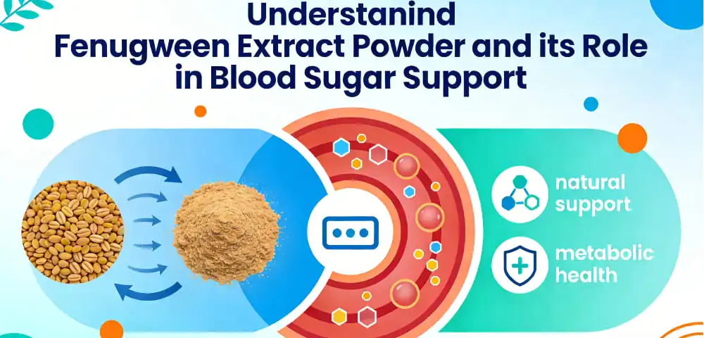 Understanding Fenugreek Extract Powder and Its Role in Blood Sugar Support
