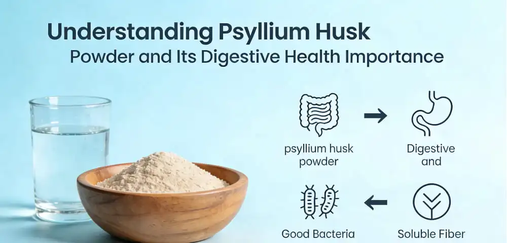 Understanding Psyllium Husk Powder and Its Digestive Health Importance