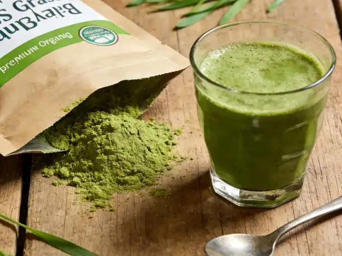 Premium Organic Barley Grass Powder Solutions
