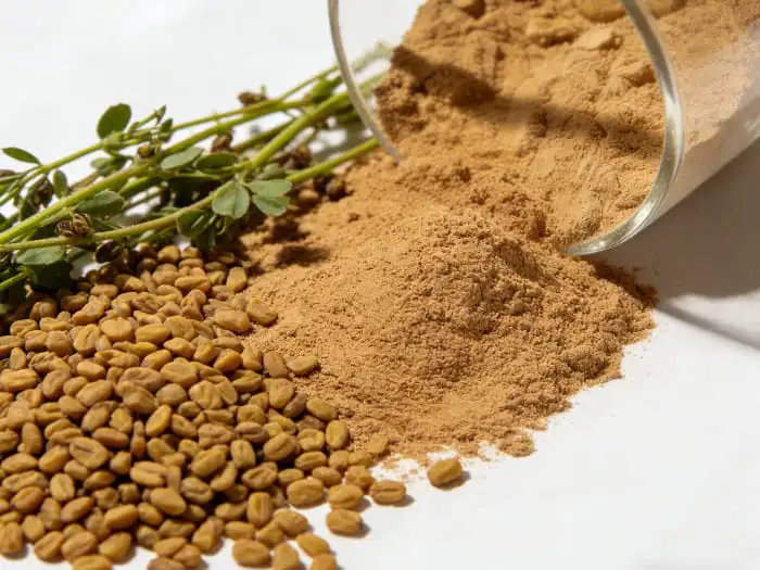 Fenugreek extract powder
