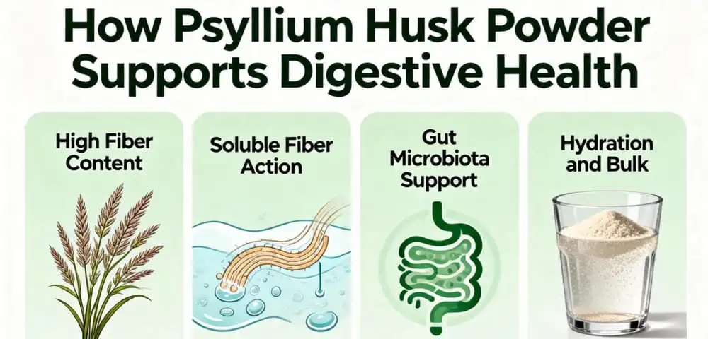 How Psyllium Husk Powder Supports Digestive Health