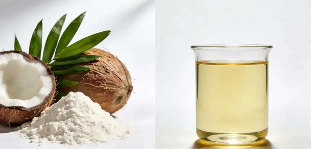 What Makes MCT Oil Powder Different from Regular MCT Oil What Makes MCT Oil Powder Different from Regular MCT Oil