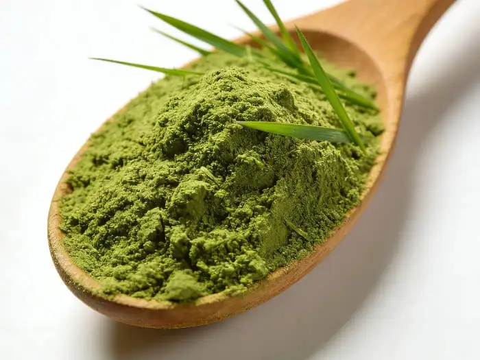 organic barley grass powder