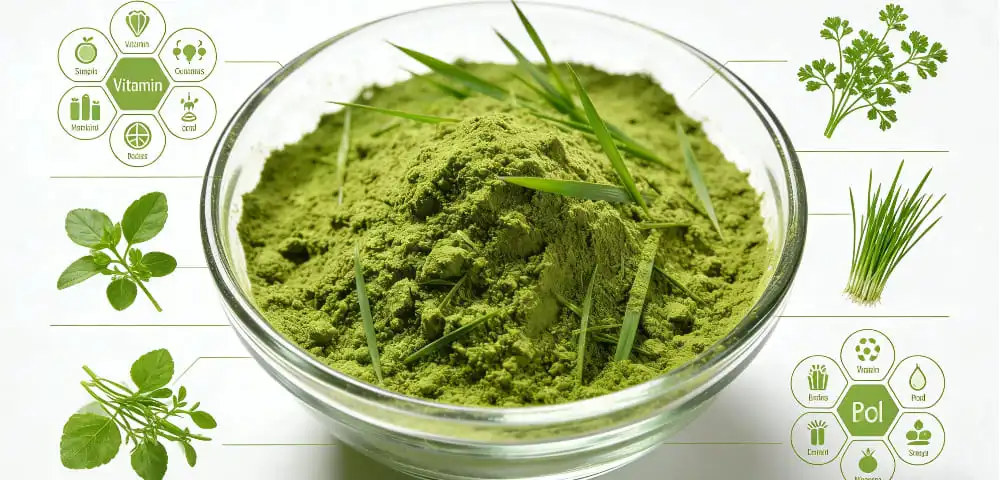 The Nutritional and Health Benefits of Organic Barley Grass Powder The Nutritional and Health Benefits of Organic Barley Grass Powder