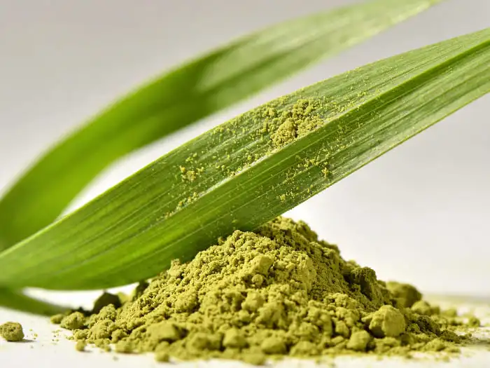organic barley grass powder