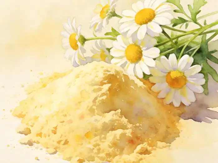 Chamomile extract powder Chamomile extract powder