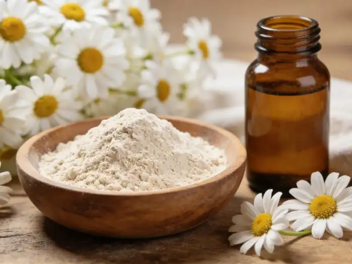 Understanding Chamomile Extract Powder and Its Role in Calm Formulas Understanding Chamomile Extract Powder and Its Role in Calm Formulas