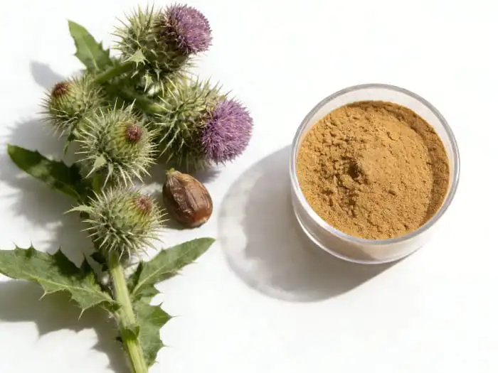 milk thistle extract powder