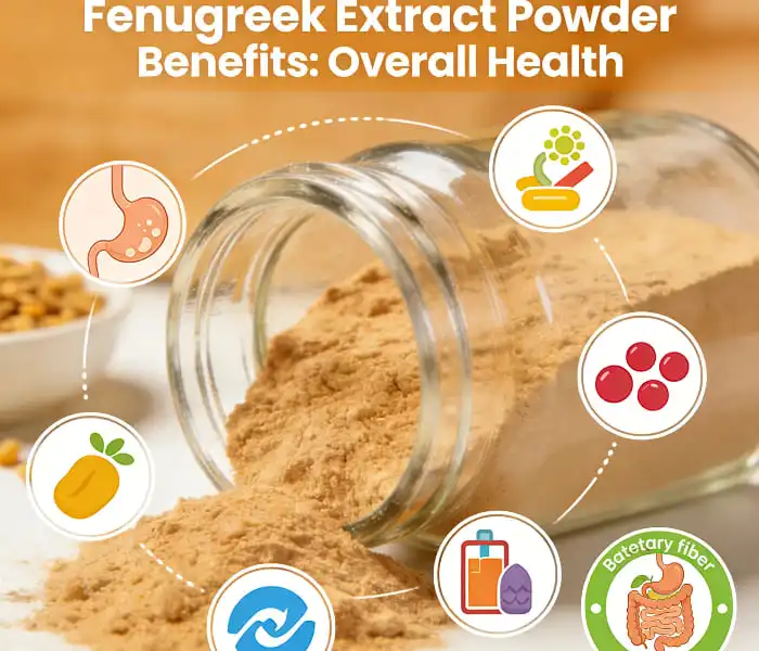 Fenugreek Extract PowderBenefits Fenugreek Extract PowderBenefits