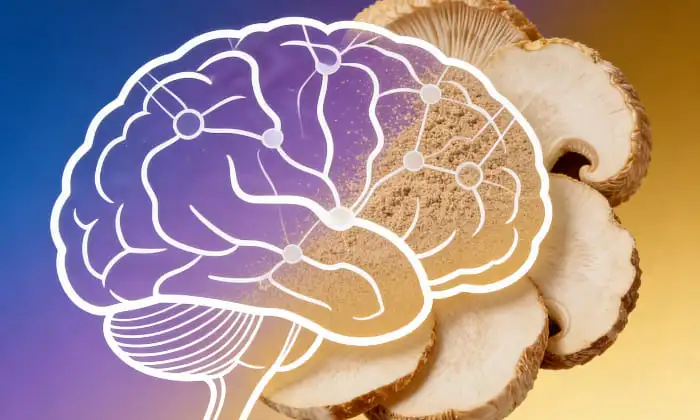 The Brain and Nerve Health Benefits of Organic Hericium Erinaceus Powder