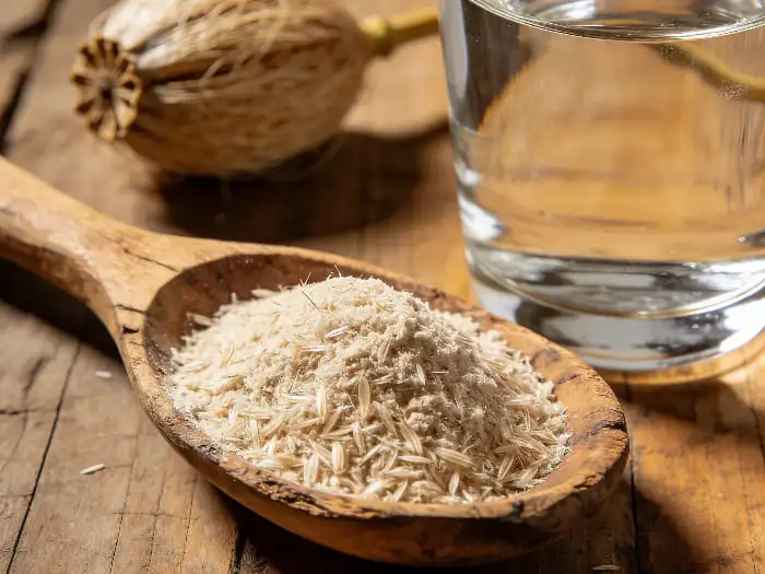 Psyllium husk powder Psyllium husk powder