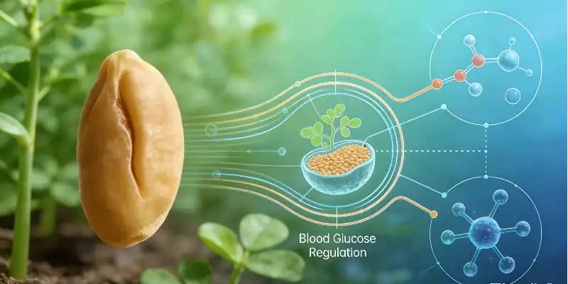 The Role of Fenugreek Extract Powder in Blood Sugar Regulation