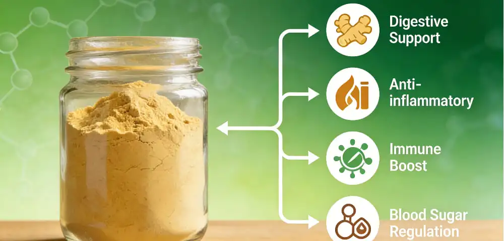 Proven Health Benefits of Organic Ginger Powder