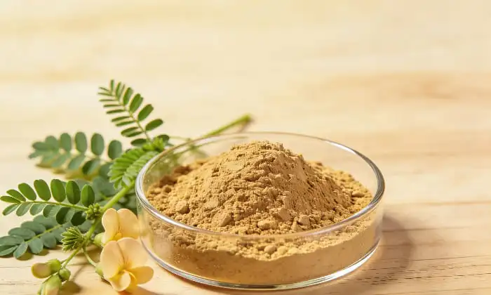 Health Benefits and Functional Uses of Fenugreek Extract Powder Health Benefits and Functional Uses of Fenugreek Extract Powder