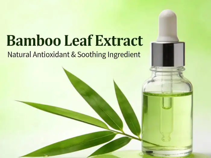 bamboo leaf extract bamboo leaf extract