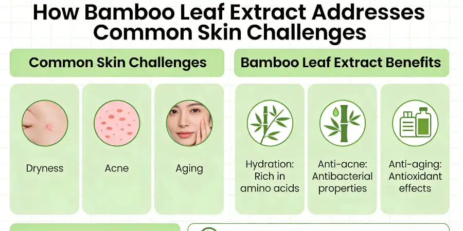 How Bamboo Leaf Extract Addresses Common Skin Challenges
