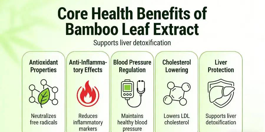 Core Health Benefits of Bamboo Leaf Extract