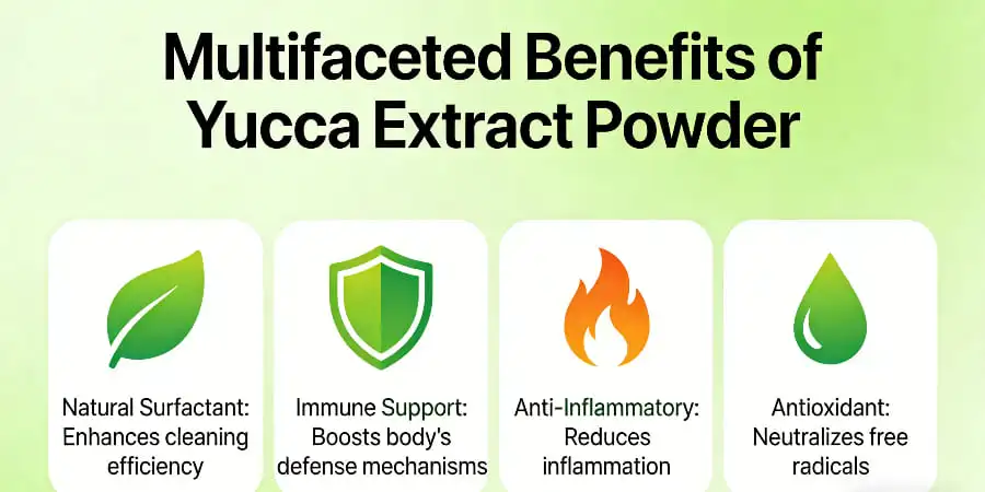 The Multifaceted Benefits of Yucca Extract Powder