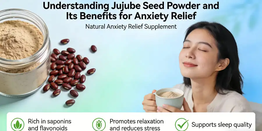 Understanding Jujube Seed Powder and Its Benefits for Anxiety Relief