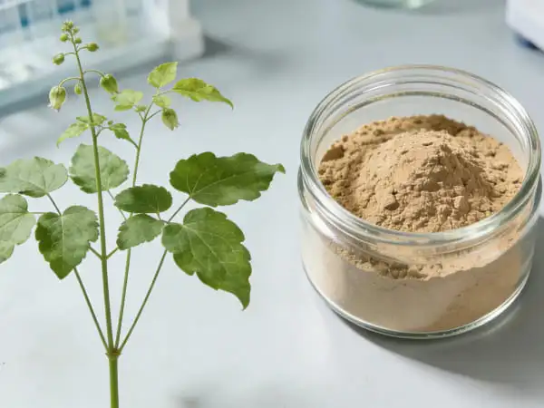 epimedium extract powder