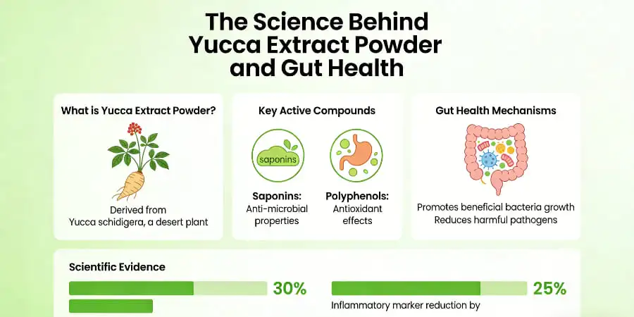 The Science Behind Yucca Extract Powder and Gut Health