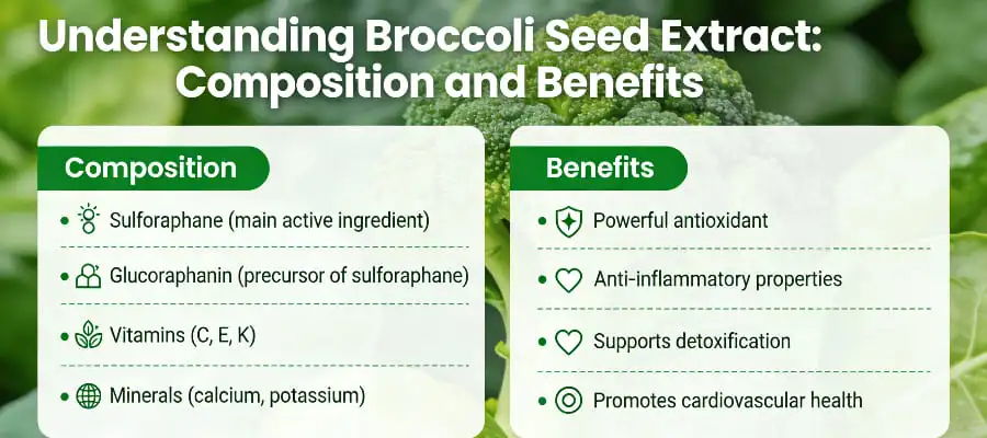 Understanding Broccoli Seed Extract-Composition and Benefits Understanding Broccoli Seed Extract-Composition and Benefits