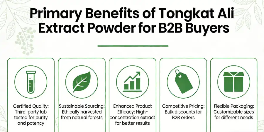 Primary Benefits of Tongkat Ali Extract Powder for B2B Buyers Primary Benefits of Tongkat Ali Extract Powder for B2B Buyers