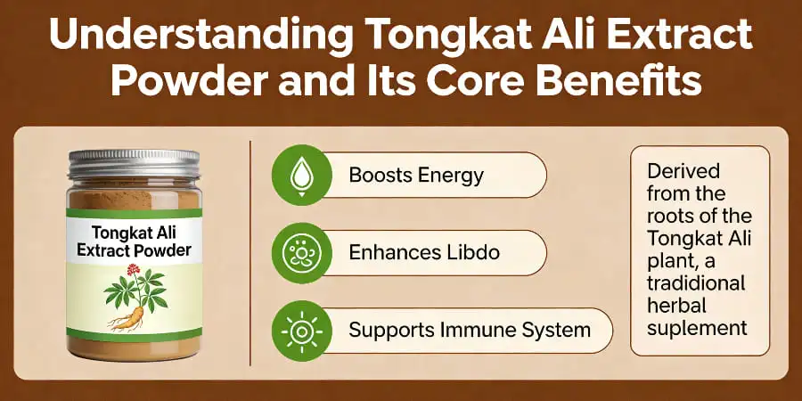 Understanding Tongkat Ali Extract Powder and Its Core Benefits