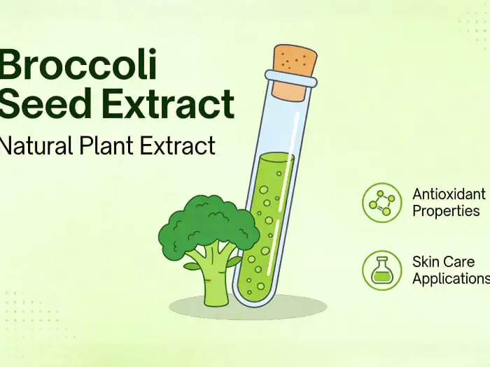 broccoli seed extract broccoli seed extract