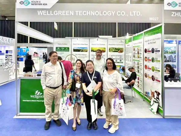 Wellgreen x Partners