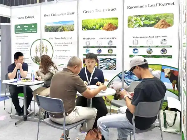 Client Meeting – Wellgreen