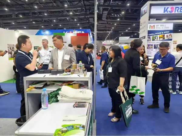 Wellgreen Networking